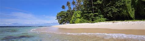 Let us us show you the many reasons why you should visit nias island! Visit Nias Island » NIAS