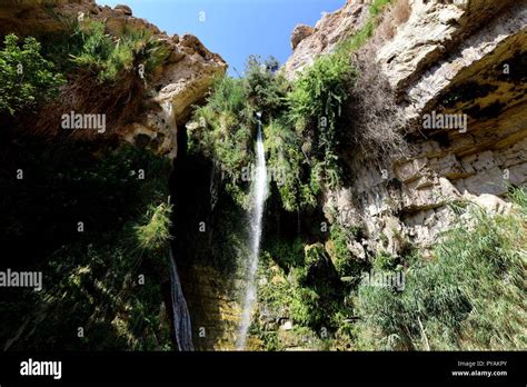 The David Waterfall At The Wadi David In En Gedi Israel 28 September