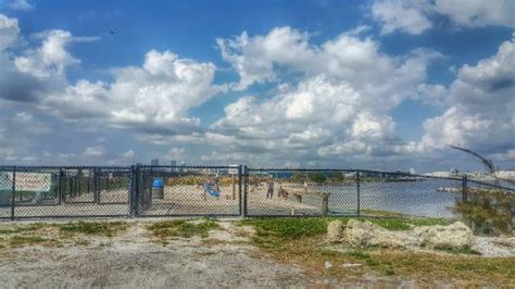 Davis Island Dog Beach Tampa 2020 All You Need To Know Before You