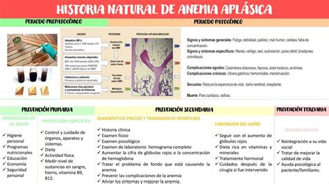 Historia Natural De Anemia Aplásica Geyli Bustamante Udocz