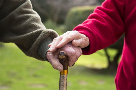 Choroba Alzheimera I Choroby Ot Pienne Fakty Zdrowie Wprost