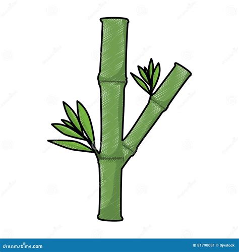 Bamboo Plant Icon Image Stock Vector Illustration Of Nature 81790081
