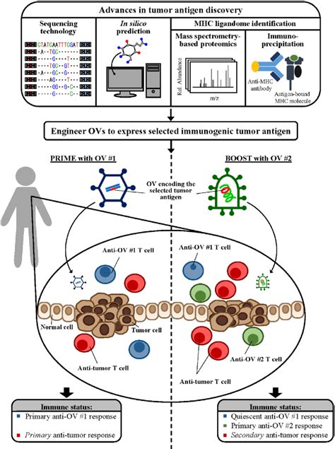 Combining Novel Antigen Discovery Platforms To Design Oncolytic