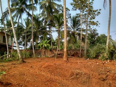 10 Cent Residential Land For Sale At Vengeri Kozhikode Kerala Real