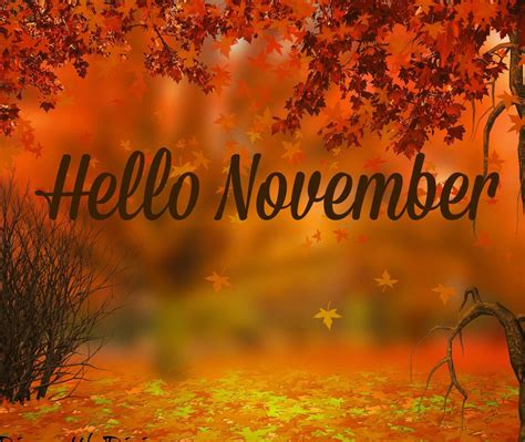 Pin By Leanna Mclean On Fall Sayings And Graphics Hello November