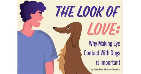 Do Dogs Make Eye Contact With Humans