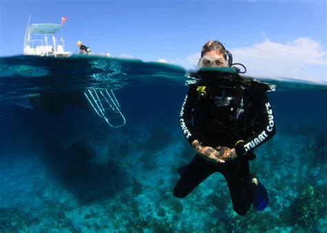 Simple Surface Survival While Scuba Diving Scuba Diver Life