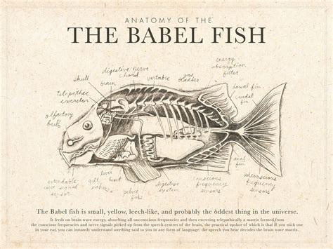 Babel Fish Anatomy On Behance