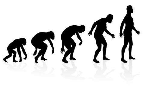 La Teoria De La Evolucion De Charles Darwin Mindmeister Mapa Mental Porn Sex Picture