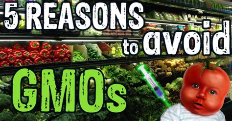 5 Scientific Reasons To Avoid Gmo Foods
