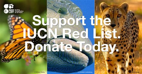 The Iucn Red List Is The Leading Information Source On The Conservation