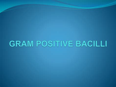 Ppt Gram Positive Bacilli Powerpoint Presentation Free Download Id