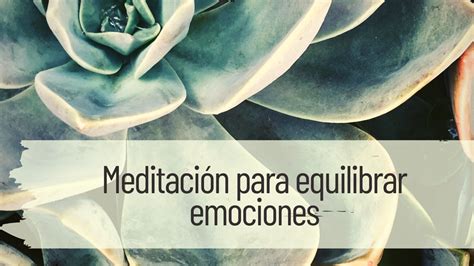 meditación para equilibrar emociones Araceli Yoga