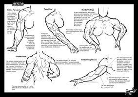Tutorial Arms By Bambs Sketch Book Anatomy Reference Female