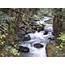Sulphur Creek Falls — Washington Trails Association