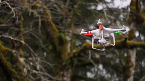 The Latest Buzz On Flying Drones In State And National Parks Rules Can