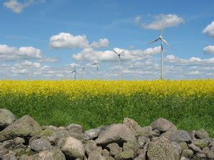 Windmills Yellow Field And Ro Free Stock Photos Rgbstock Free