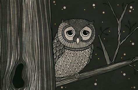 Night Illustration Illustration Art Drawing Illustration Styles Owls