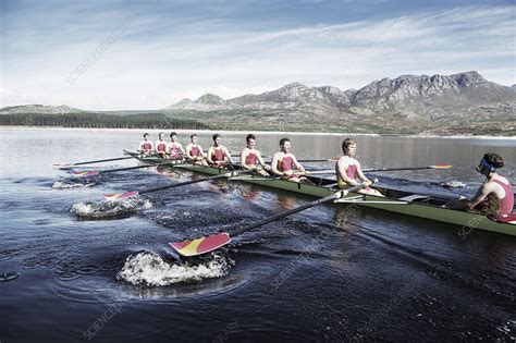 Rowing Team Rowing Scull On Lake Stock Image F0139957 Science