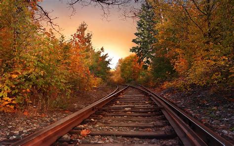 Landscapes Nature Trees Autumn Skylines Railroad Tracks