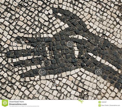 La consolidacion de mosaicos romanos, opus tessellatum, tradicionalmente se consiguio a base de un mortero de arena y cemento de 3 cm de grosor lo cual les confiere dureza, estabilidad, durabilidad. Particolare Del Mosaico Romano Immagine Stock - Immagine ...