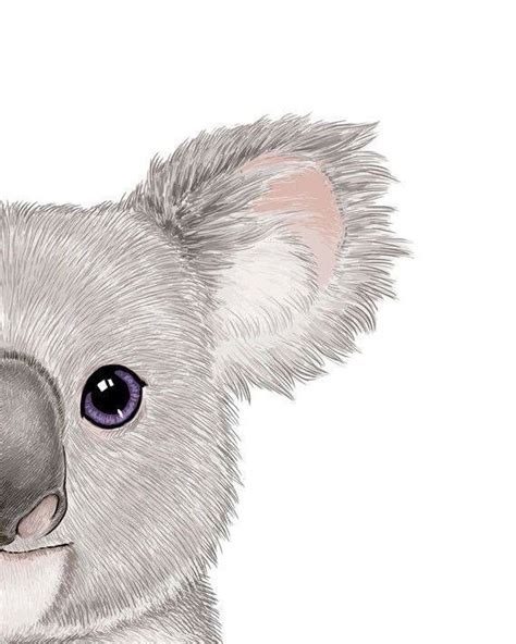 Pin By Aylar On Cute Animal Koala Drawing Animal Posters Koala