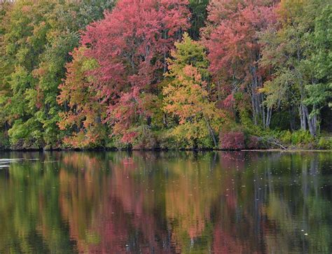 Colors Of Autumn Photograph By Deborah Hochhauser