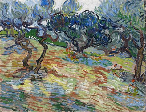 Unveiling Details Of Vincent Van Goghs Olive Tree Paintings Insidehook