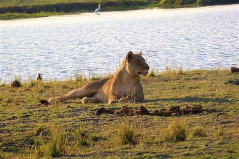 Kavango Zambezi Transfrontier Conservation Area