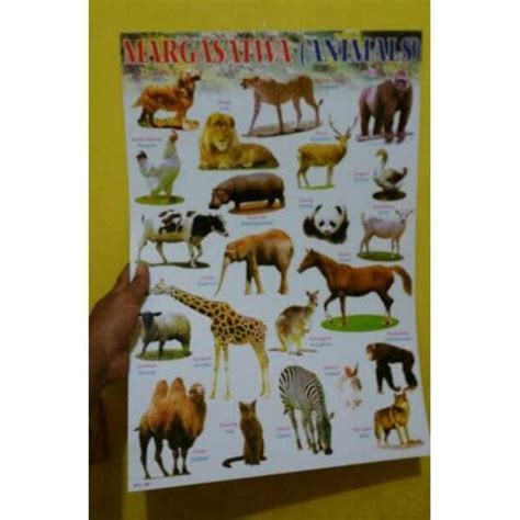 Poster Binatang Buas Coretan