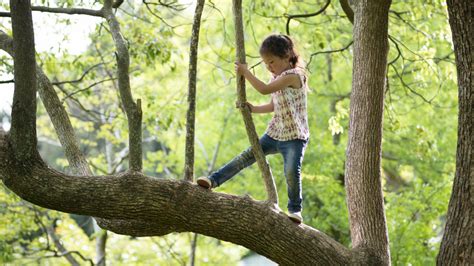 Science Says Let Your Kids Take Risks While Playing Its