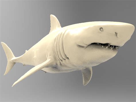 Great White Shark Printable 3d Model 3d Printable Cgtrader