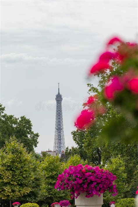 Beautiful Flowers And Trees With The Eiffel Tower In The Distance Stock