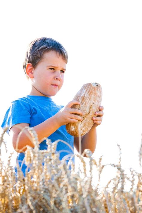 Boy With The Bread In Grain Stock Image Image Of Love Baby 57083169