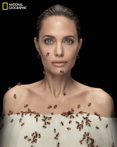 National Geographic Celebrates ‘world Bee Day With Angelina Jolie In A