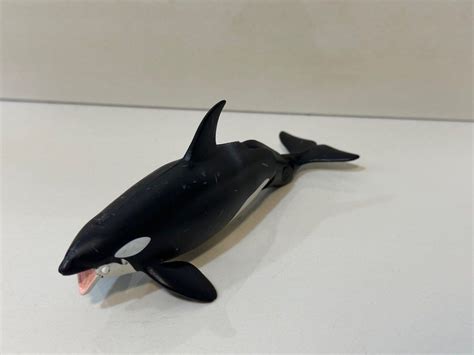 Takara Tomy Animal Killer Whale Hobbies And Toys Toys And Games On Carousell