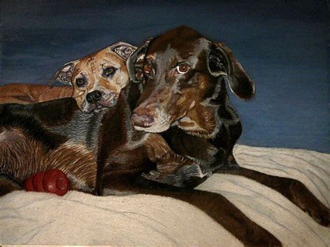 Brotherly Love Two Dogs Cuddling Up Together By Patricia Barmatz