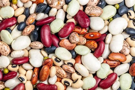 Heirloom Beans Varieties Benefits And The Best Recipes