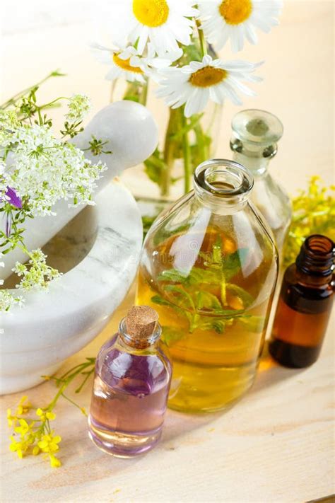 Essential Oils And Wild Flowers Stock Image Image Of Campanula