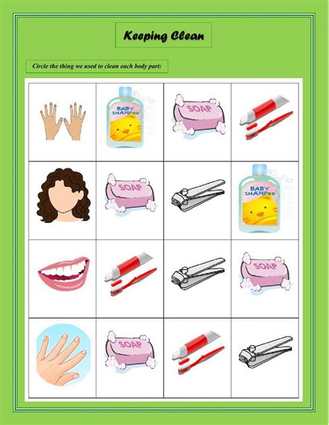 Keeping Clean Personal Hygiene Worksheet Live Worksheets