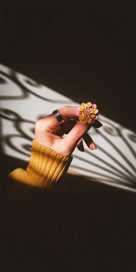 Hand Photography Classy Photography Aesthetic Photography Nature