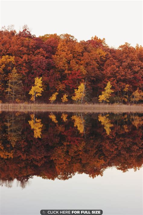 Autumn Reflections In Michigan Autumn Scenery Beautiful Nature