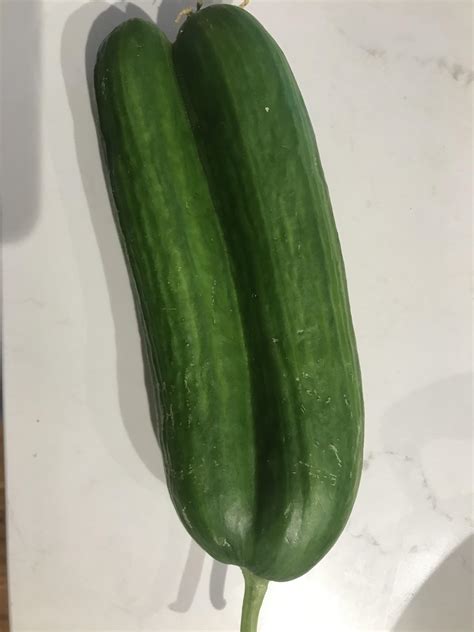 This Double Cucumber R Mildlyinteresting