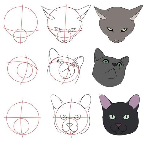 Cat Tutorial More Heads By Perianardocyl On Deviantart Cat Drawing