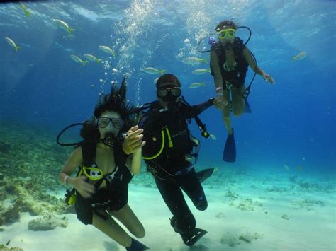 Scuba Diving Cancun Mexico Address And Map