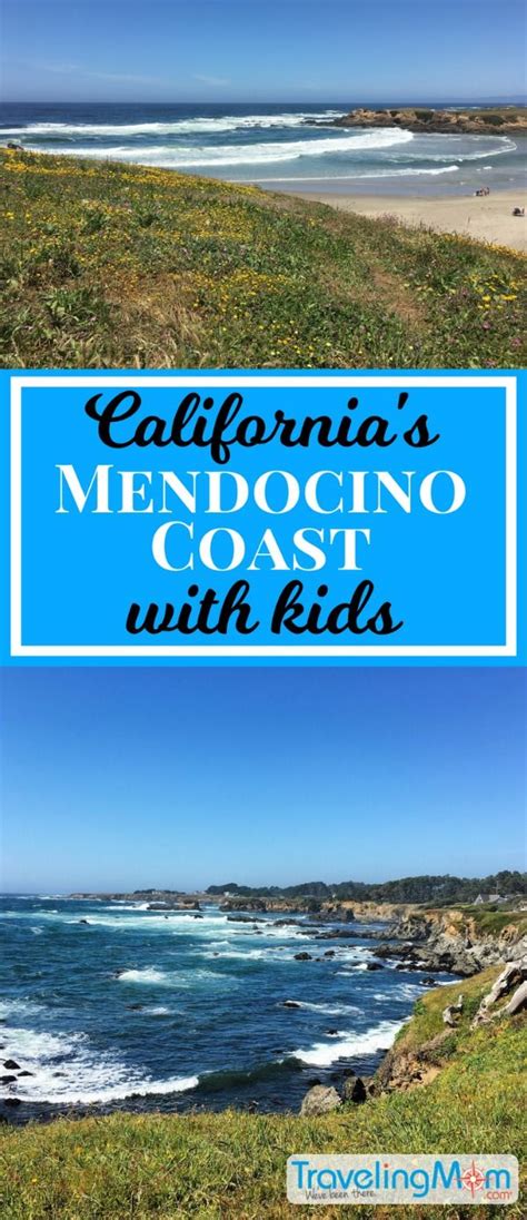 Exploring Wine Nature And Art Fun Things To Do In Mendocino