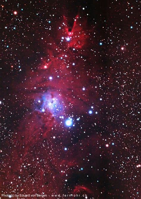 Ngc 2264 Conus Nebula In Christmas Tree Deep⋆sky Corner