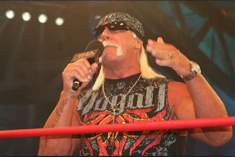 Hulk Hogan Scores 115 Million For His Sex Tape Case And Celebrates Wixo Fm
