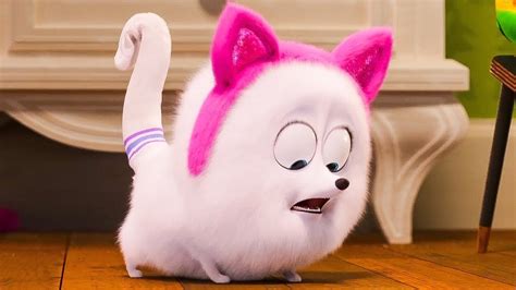 Illumination's tenth animated feature, the secret life of pets 2, is the highly anticipated sequel to the 2016 comedic blockbuster that had the biggest packed with illumination's signature irreverence and subversive humor, this new chapter explores the emotional lives of our pets, the deep bond between. The Secret Life Of Pets 2 'Gidget' Official Trailer (2019 ...