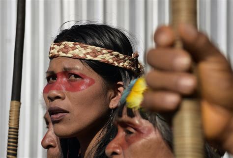 An Uncommon Victory For An Indigenous Tribe In The Amazon The New Yorker